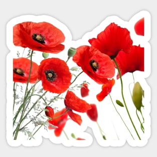 Red Poppy Pops Sticker